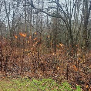 Photo #2 of 2040 Jefferson Oaks, Rural Hall, NC 1.0 acres