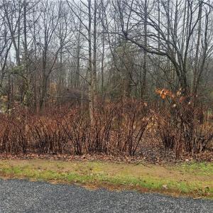 Photo #1 of 2040 Jefferson Oaks, Rural Hall, NC 1.0 acres