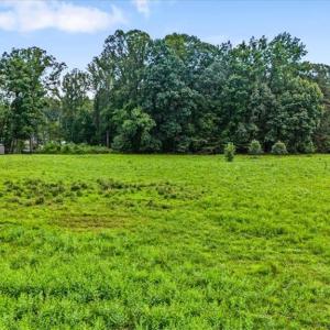 Photo #10 of 7496 Strader, Summerfield, NC 3.5 acres