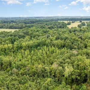 Photo #7 of 6619 Smithwood, Liberty, NC 20.0 acres