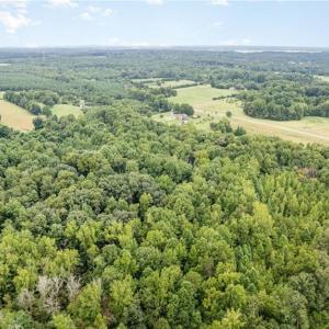 Photo #11 of 6619 Smithwood, Liberty, NC 20.0 acres