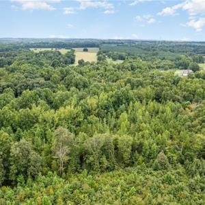 Photo #8 of 6619 Smithwood, Liberty, NC 20.0 acres