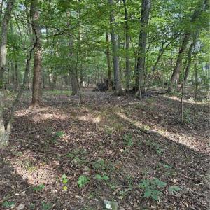 Photo #3 of 7149 Nature, Liberty, NC 10.3 acres