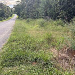 Photo #5 of 7149 Nature, Liberty, NC 10.3 acres