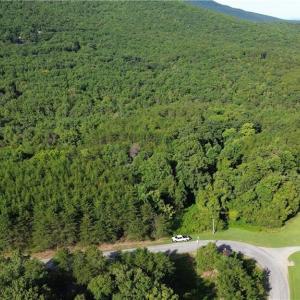 Photo #18 of 02 Hanging Rock Forest, Danbury, NC 10.8 acres