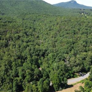 Photo #26 of 01 NC Highway 89, Danbury, NC 21.0 acres