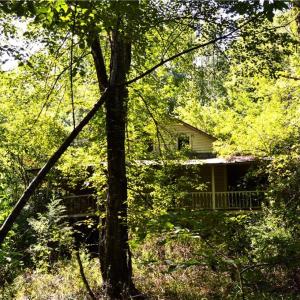 Photo #4 of 01 NC Highway 89, Danbury, NC 21.0 acres