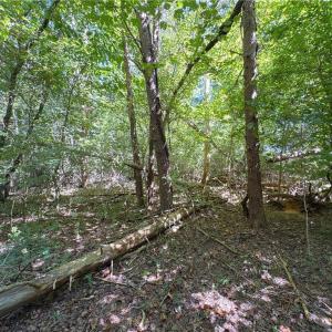 Photo #17 of 1193 Pleasant Ridge, Colfax, NC 3.8 acres