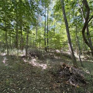 Photo #20 of 1193 Pleasant Ridge, Colfax, NC 3.8 acres