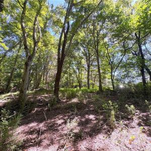 Photo #14 of 1193 Pleasant Ridge, Colfax, NC 3.8 acres