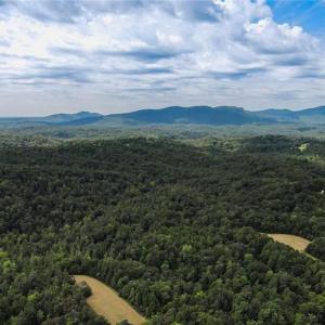 Nature at it's best.