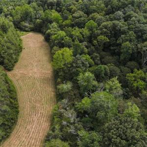 Upper Meadow - Approx. 2 acres