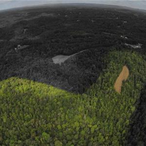 Property is highlighted