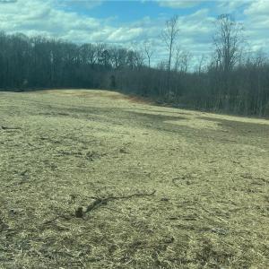 Photo #2 of 195 H L Palmer, Lexington, NC 1.1 acres