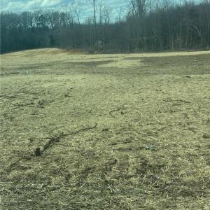 Photo #1 of 195 H L Palmer, Lexington, NC 1.1 acres