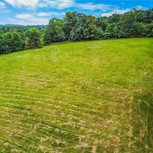 Photo #13 of 911 Tuttle, Rural Hall, NC 18.0 acres