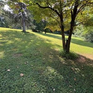 Photo #13 of Doral, Tobaccoville, NC 12.9 acres