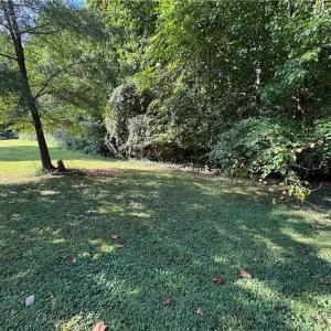 Photo #17 of Doral, Tobaccoville, NC 12.9 acres