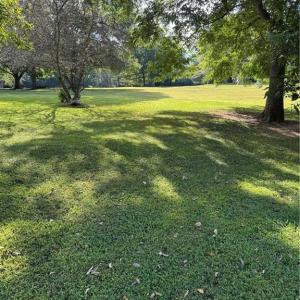 Photo #1 of Doral, Tobaccoville, NC 12.9 acres