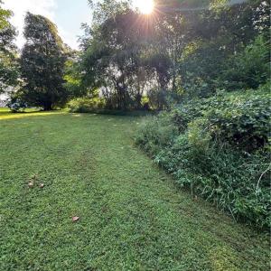 Photo #20 of Doral, Tobaccoville, NC 12.9 acres