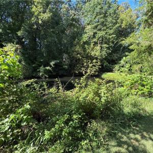 Photo #24 of Doral, Tobaccoville, NC 12.9 acres