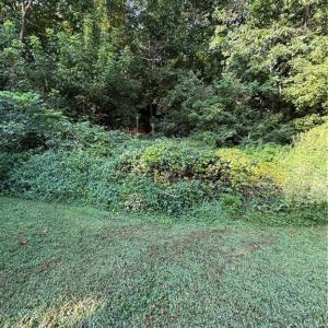 Photo #30 of Doral, Tobaccoville, NC 12.9 acres