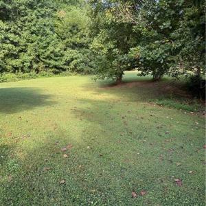 Photo #31 of Doral, Tobaccoville, NC 12.9 acres