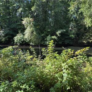 Photo #25 of Doral, Tobaccoville, NC 12.9 acres