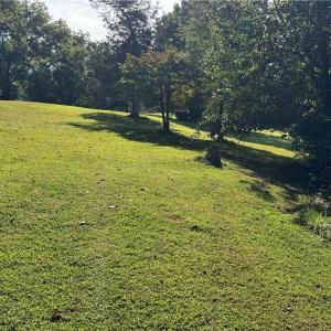 Photo #12 of Doral, Tobaccoville, NC 12.9 acres