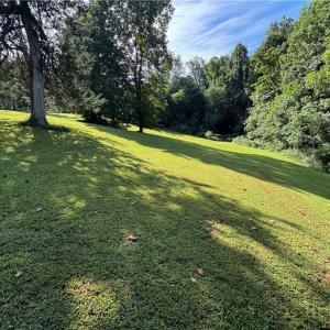 Photo #10 of Doral, Tobaccoville, NC 12.9 acres