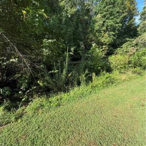 Photo #29 of Doral, Tobaccoville, NC 12.9 acres