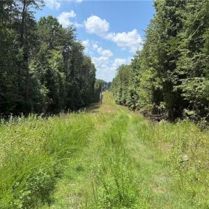 Photo #4 of River Pines, Clemmons, NC 54.5 acres