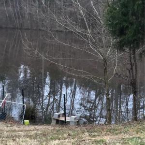 Photo #27 of 1670 Frank Hulin, Lexington, NC 33.2 acres