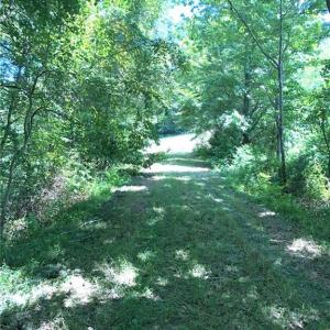 Photo #12 of 1670 Frank Hulin, Lexington, NC 33.2 acres