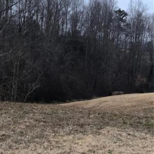 Photo #26 of 1670 Frank Hulin, Lexington, NC 33.2 acres