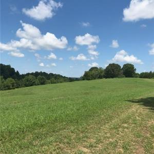 Photo #29 of 1670 Frank Hulin, Lexington, NC 33.2 acres