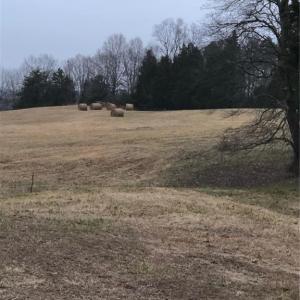 Photo #23 of 1670 Frank Hulin, Lexington, NC 33.2 acres