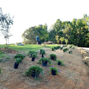 Photo #2 of 1670 Frank Hulin, Lexington, NC 33.2 acres