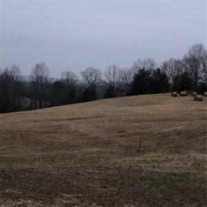 Photo #24 of 1670 Frank Hulin, Lexington, NC 33.2 acres