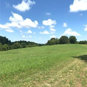 Photo #10 of 1670 Frank Hulin, Lexington, NC 33.2 acres