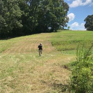 Photo #14 of 1670 Frank Hulin, Lexington, NC 33.2 acres