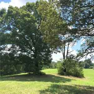 Photo #8 of 1670 Frank Hulin, Lexington, NC 33.2 acres