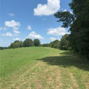 Photo #13 of 1670 Frank Hulin, Lexington, NC 33.2 acres