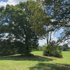 Photo #32 of 1670 Frank Hulin, Lexington, NC 33.2 acres