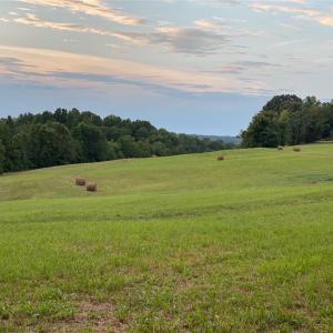 Photo #18 of 1670 Frank Hulin, Lexington, NC 33.2 acres