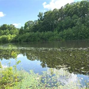 Photo #15 of 1670 Frank Hulin, Lexington, NC 33.2 acres