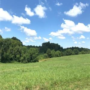 Photo #11 of 1670 Frank Hulin, Lexington, NC 33.2 acres