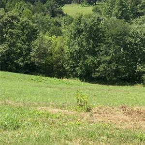 Photo #31 of 1670 Frank Hulin, Lexington, NC 33.2 acres