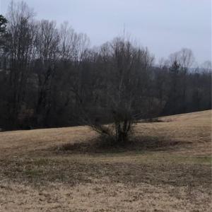 Photo #25 of 1670 Frank Hulin, Lexington, NC 33.2 acres