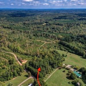 Photo #2 of Bluestone, Ruffin, NC 1.7 acres